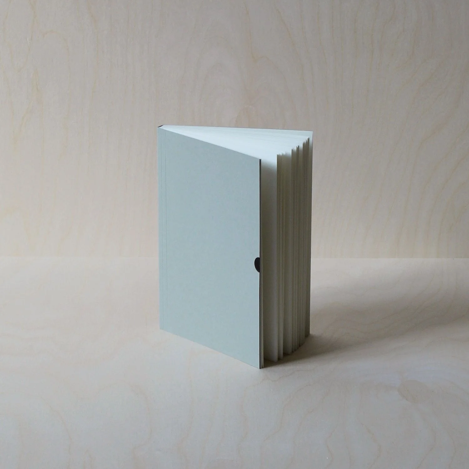 Classic Notebook | Lichen - Image 3