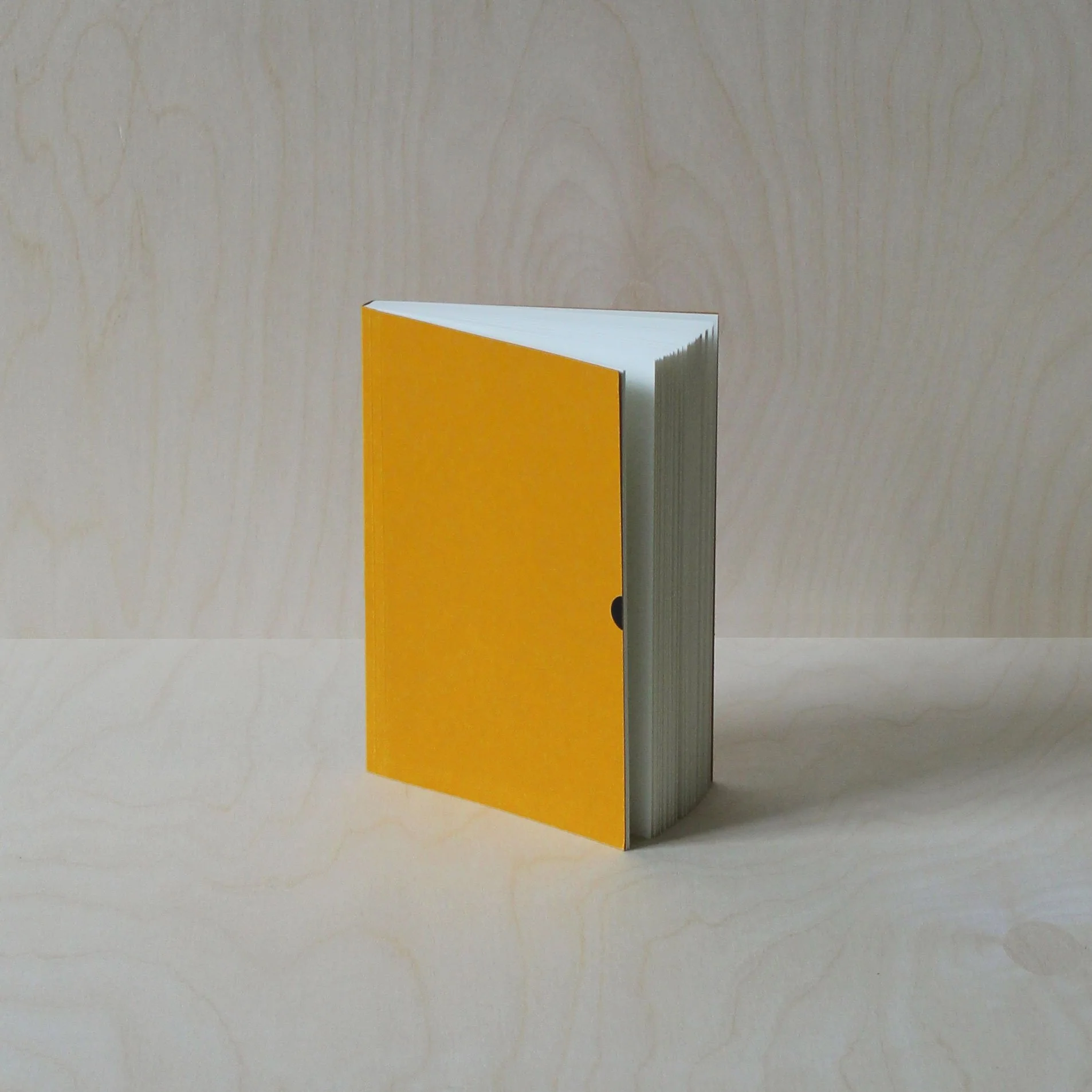 Classic Notebook | Mustard - Image 3