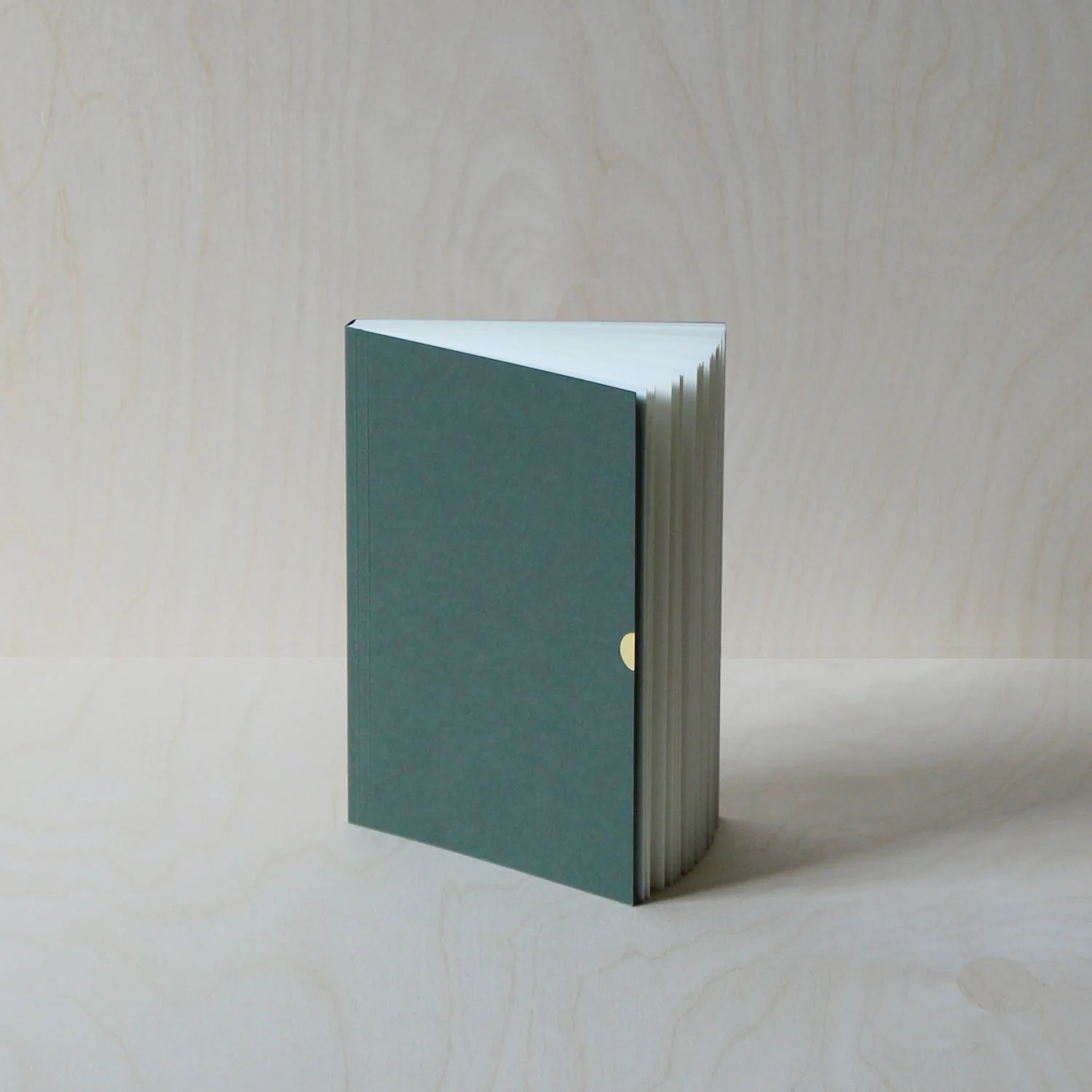 Classic Notebook | Sequoia - Image 3