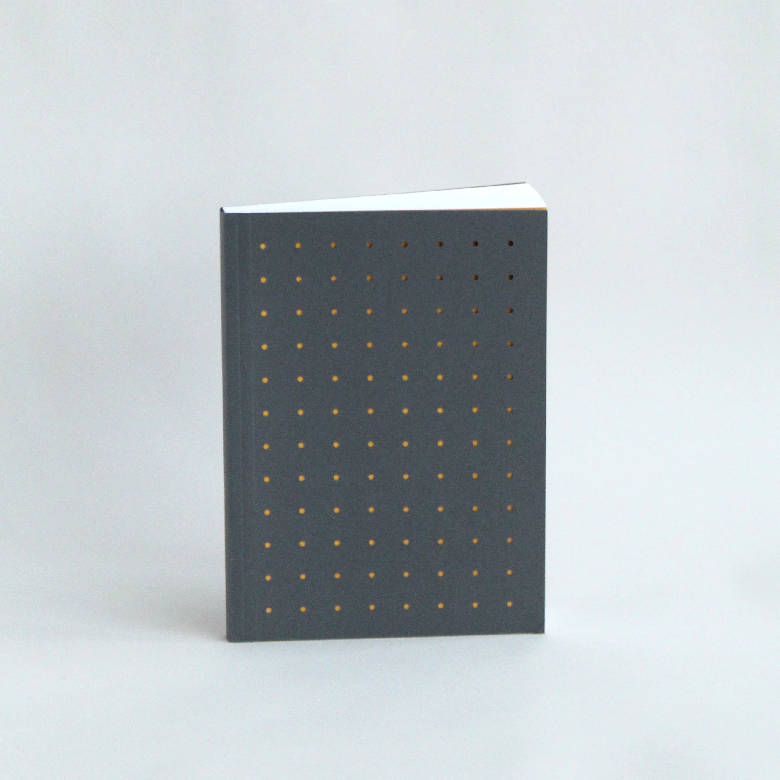 Special Edition Notebook | DOT - Image 3