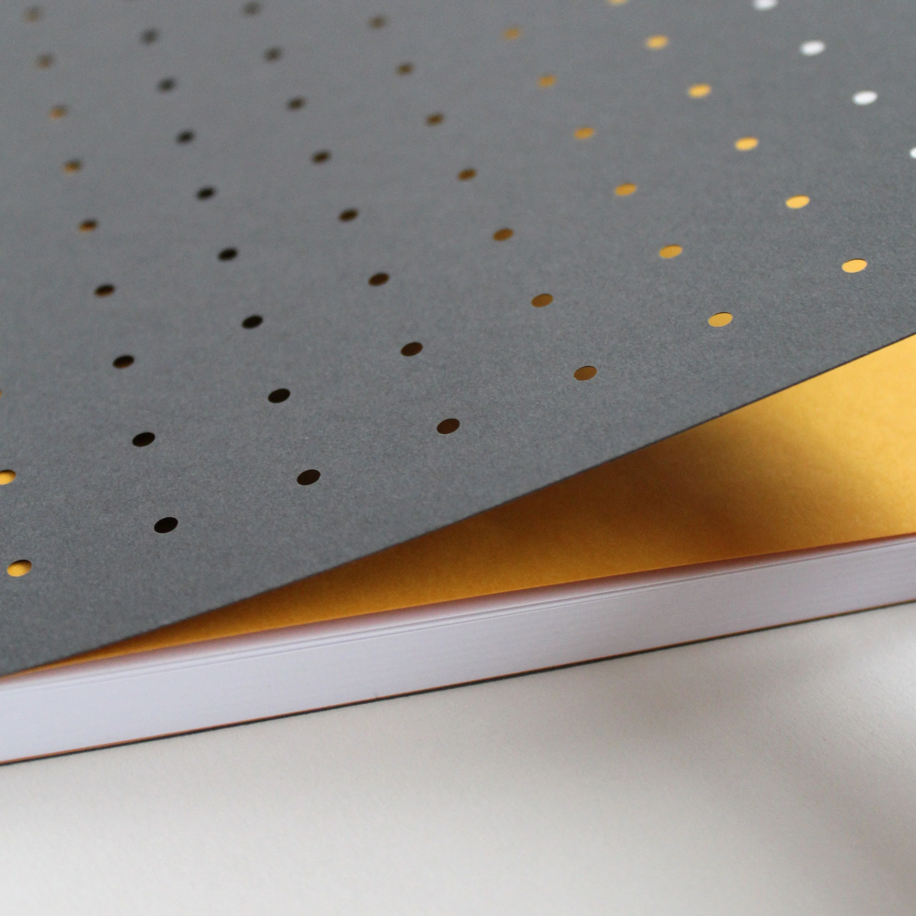 Special Edition Notebook | DOT - Image 4