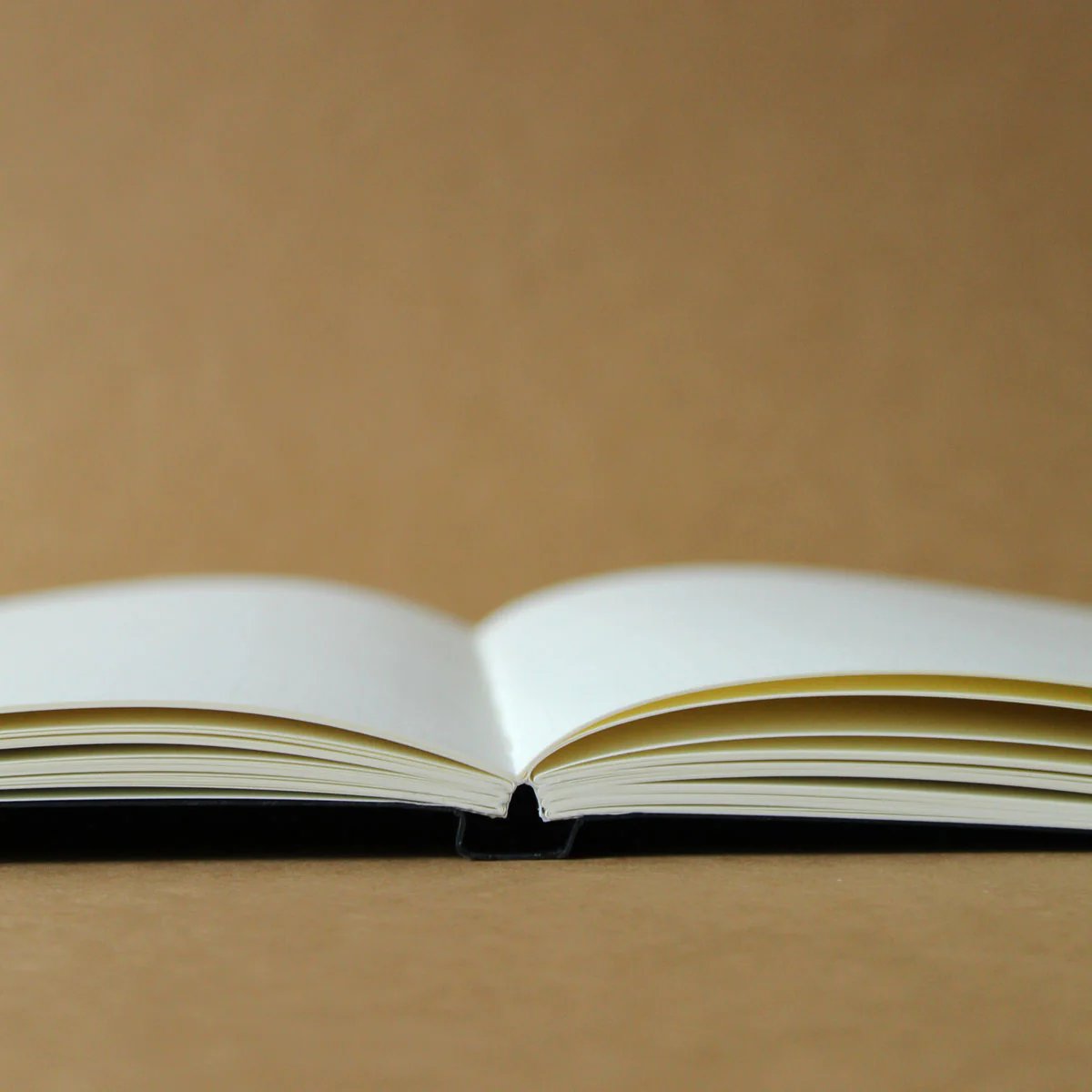 Special Edition Notebook | DOT - Image 8