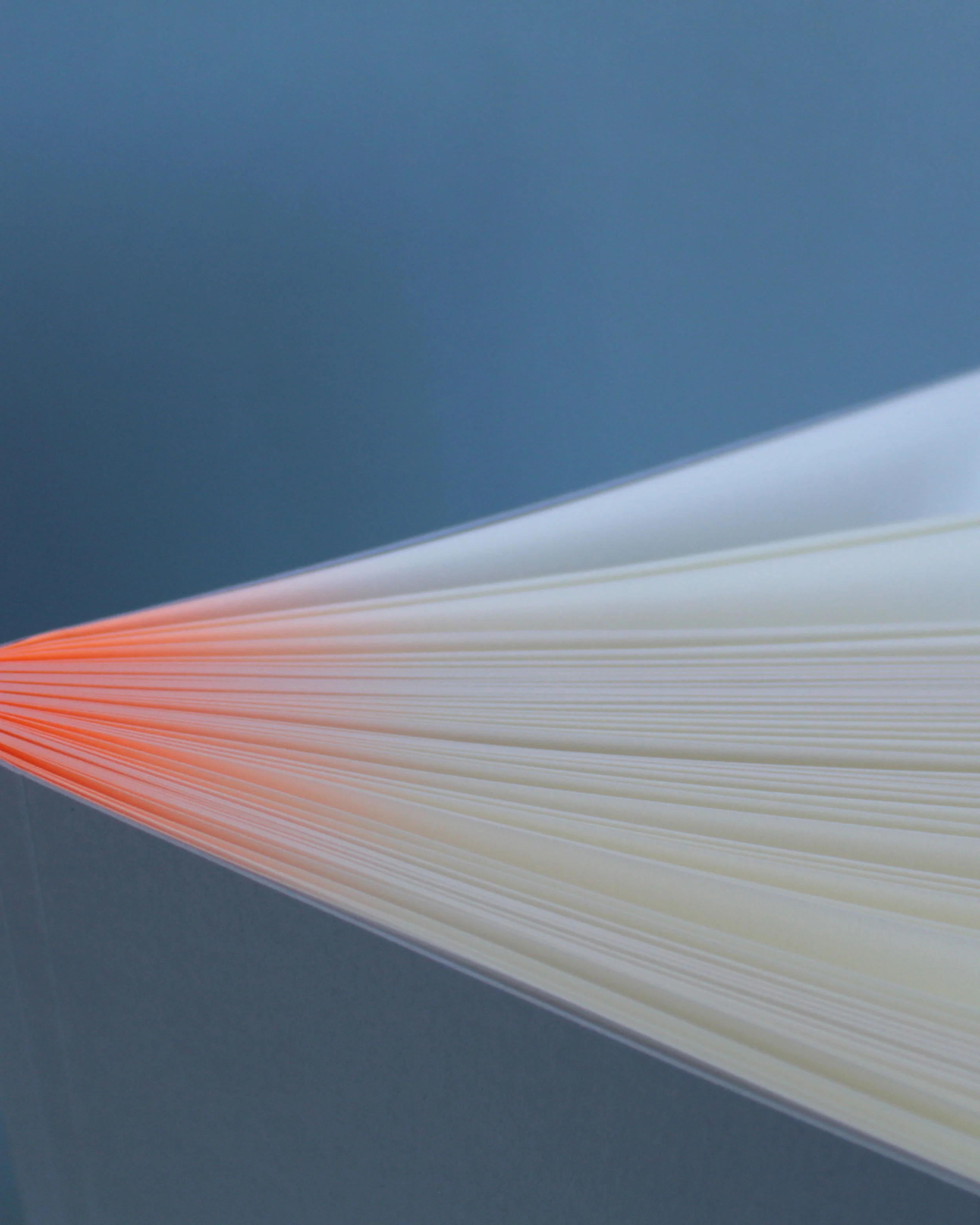 Special Edition Notebook | GLOW - Image 3